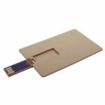 Memoria USB Tarjeta Biodegradable